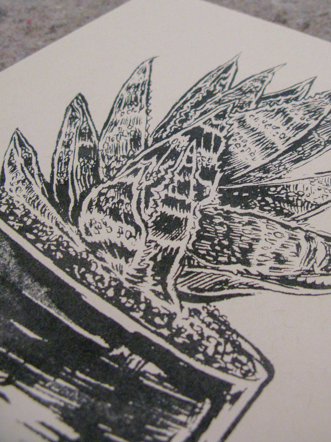 Molcajete Plant