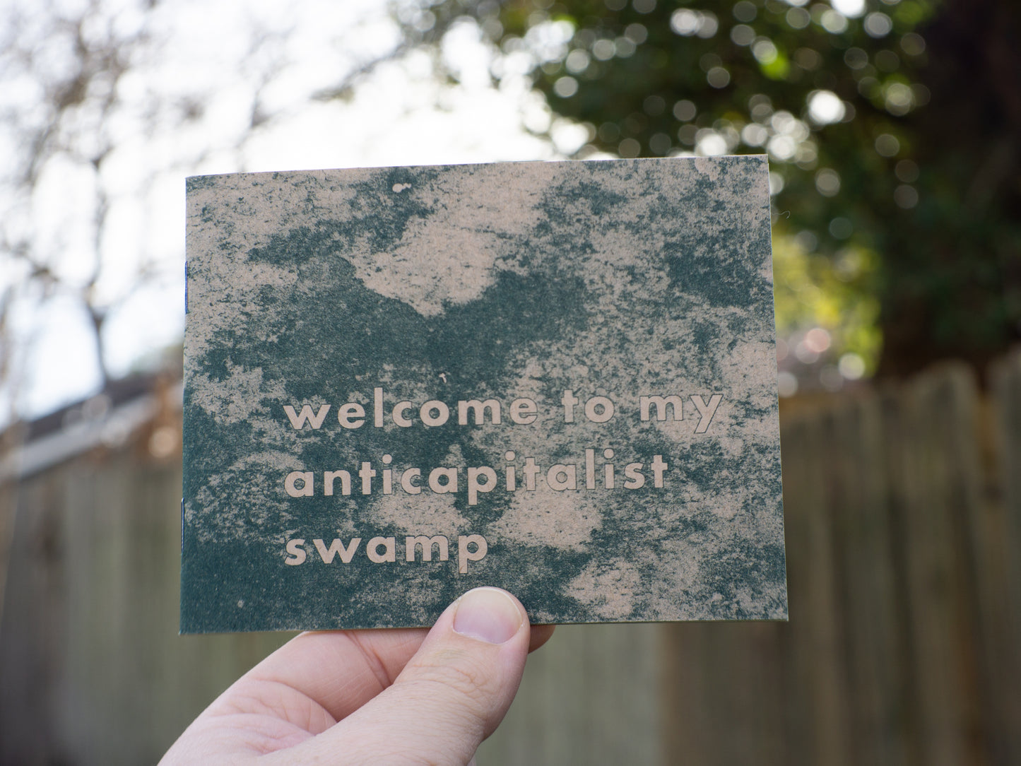 Anticapitalist Swamp