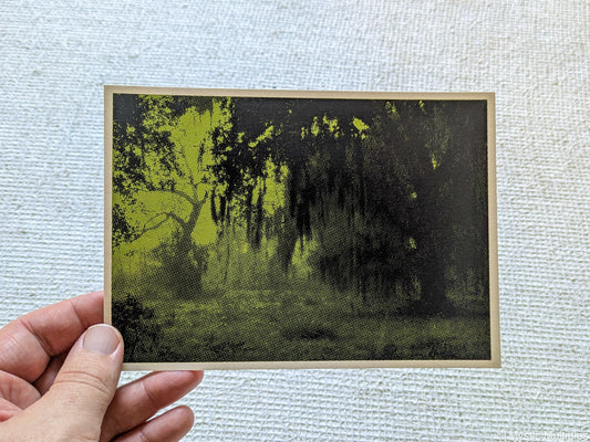 A halftone landscape in green and black of oak trees covered in spanish moss
