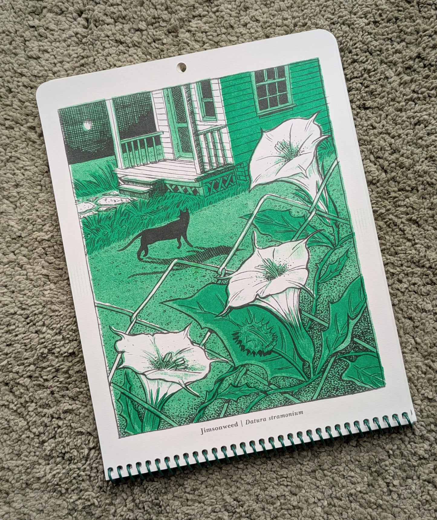 Night Blooms 2026 Calendar *BoBo Edition*