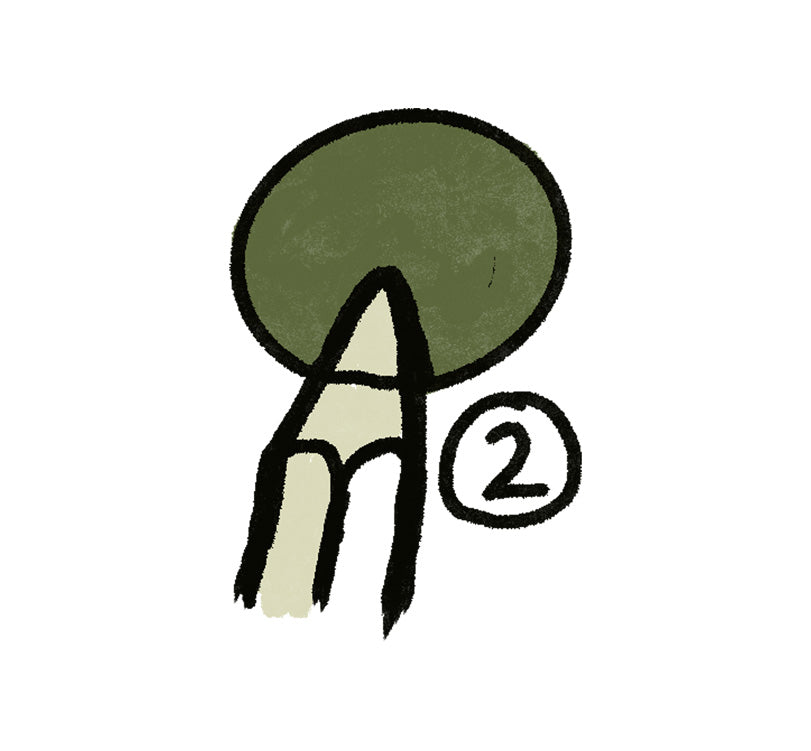 Simple illustration of a green circle with a pencil and number '2' on a white background