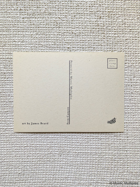 Post card back with stamp spot, title, artist credit to james beard, and small fern branch illustration.
