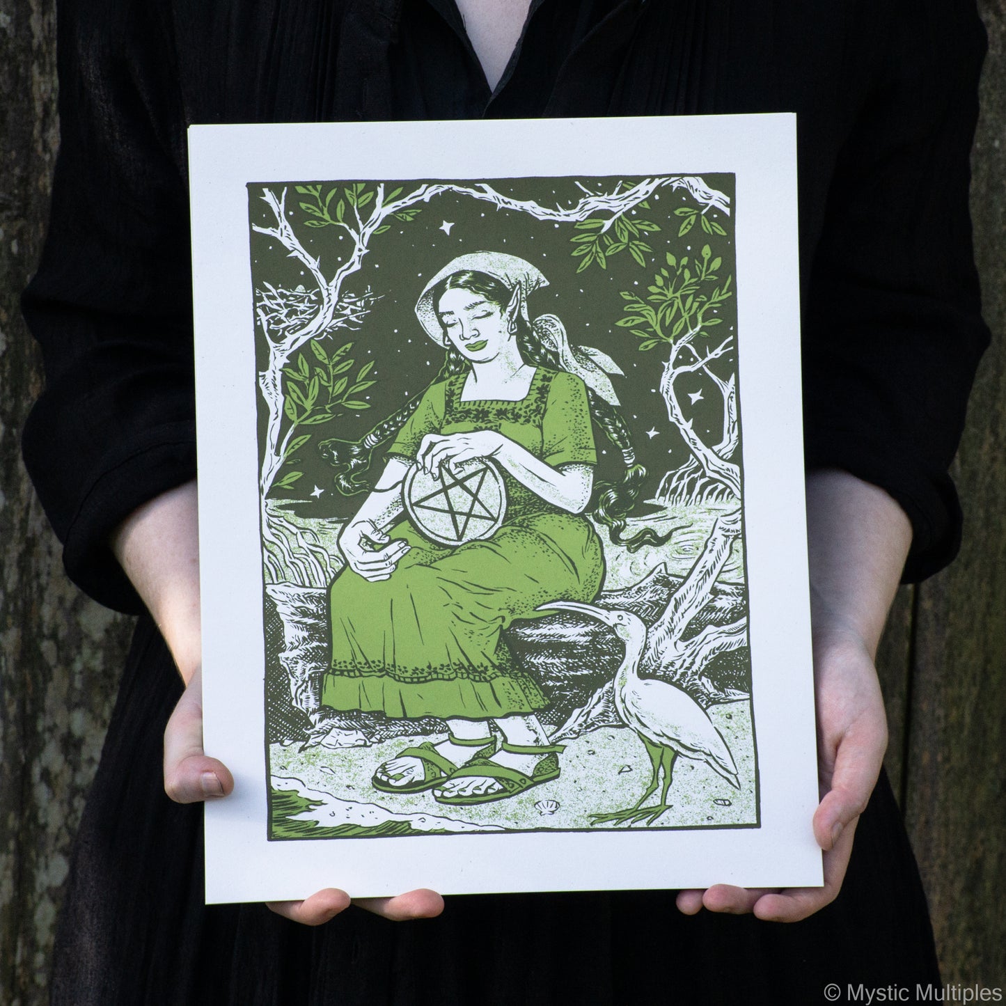 The queen of pentacles, sitting in a dress with a large pentacle and a companion ibis