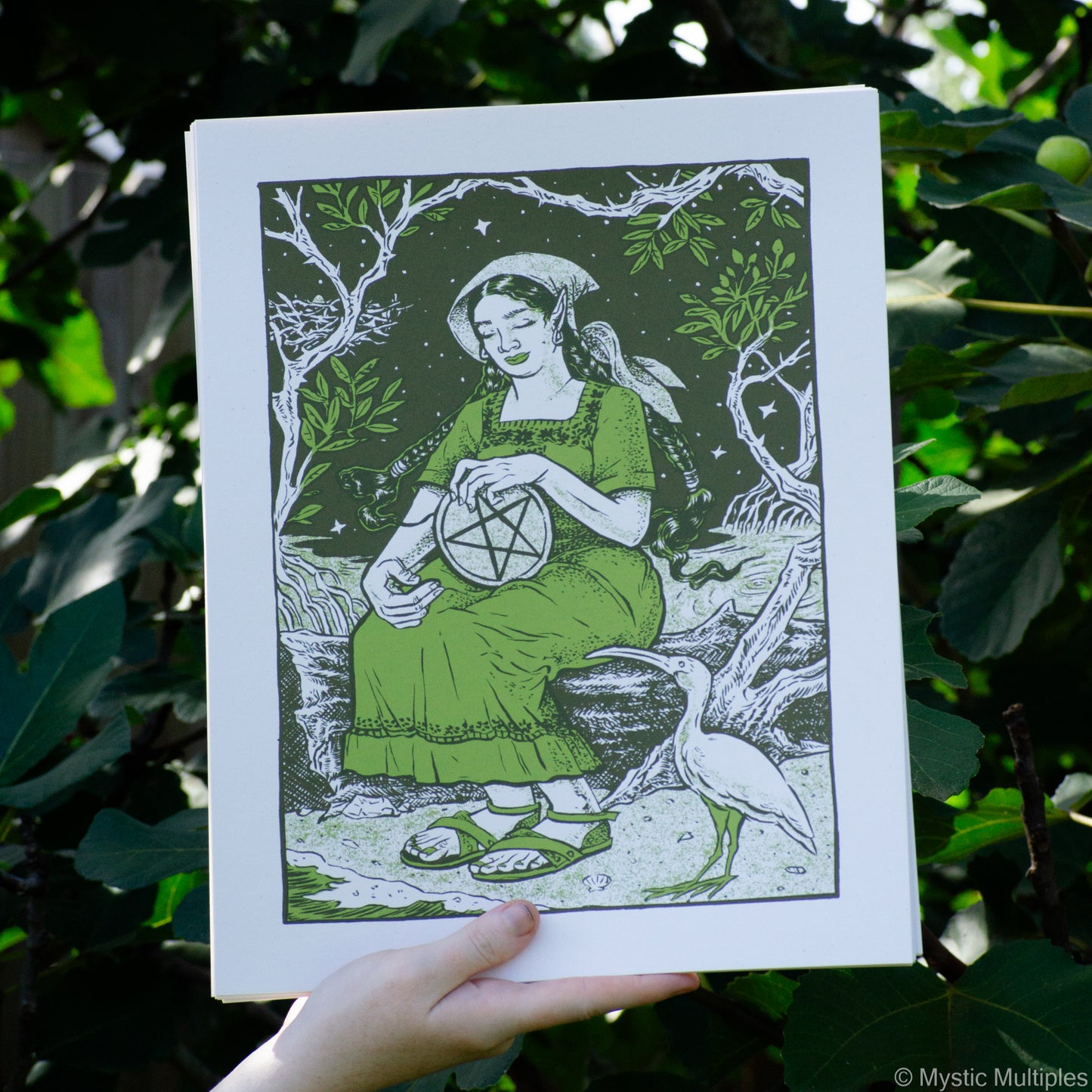 The queen of pentacles, sitting in a forest with her companion Ibis