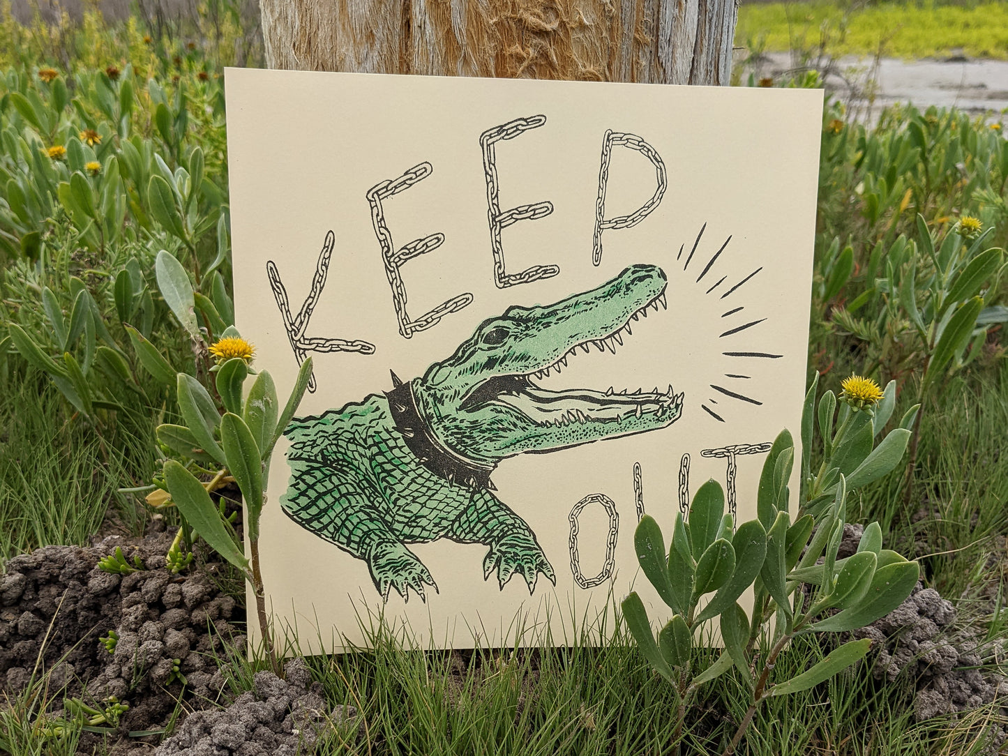 Keep Out Gator