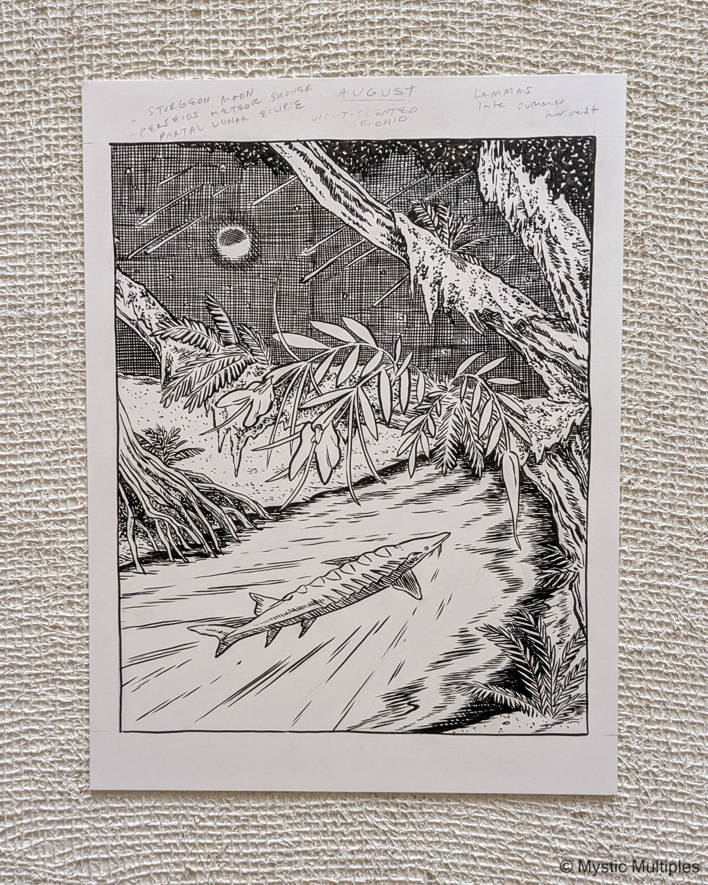 Sturgeon moon illustration with a sturgeon swimming down a river with a meteor shower and resurrection ferns