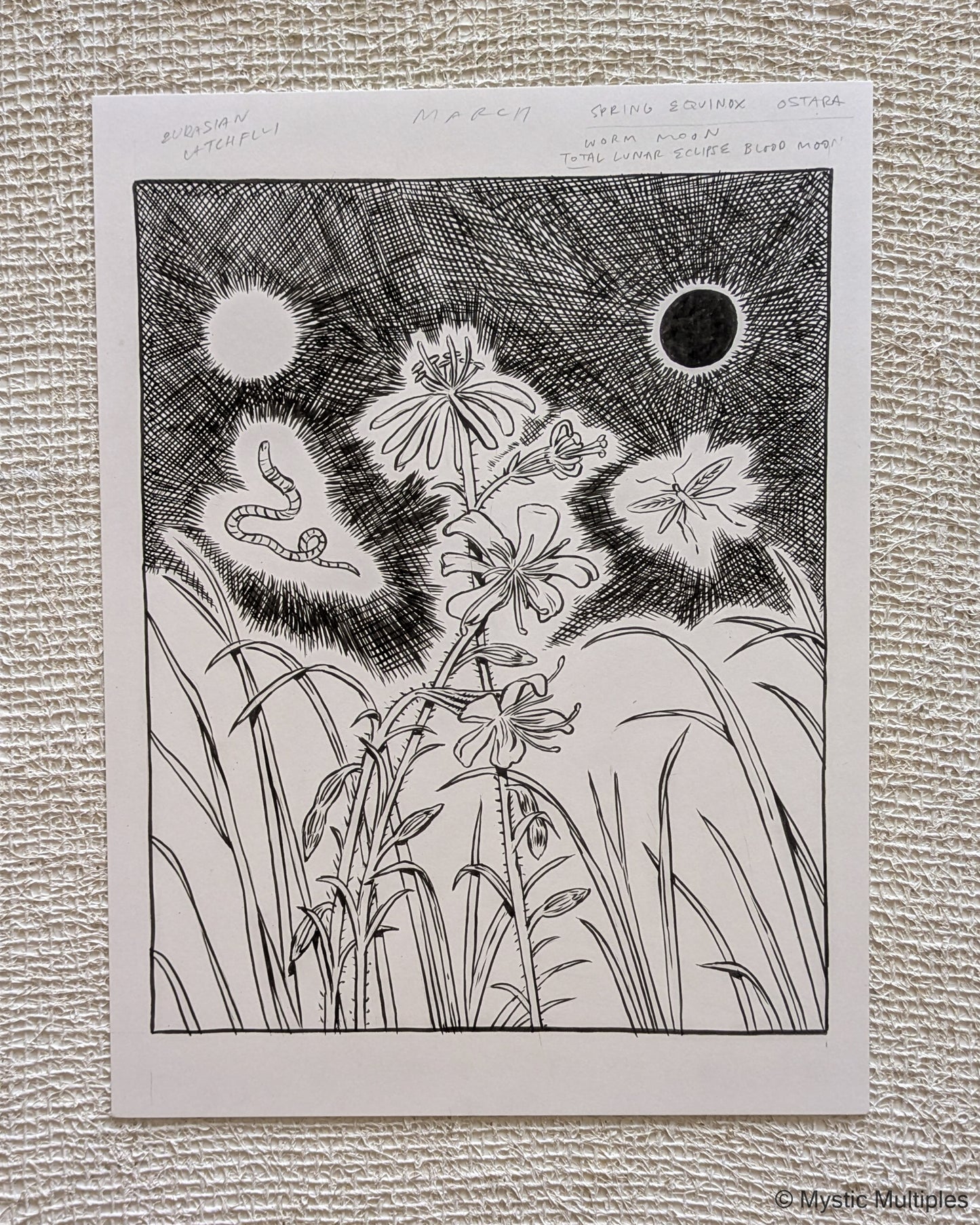 Worm moon and total eclipse illustration that shows a floating worm and mosquito by a blooming plant.