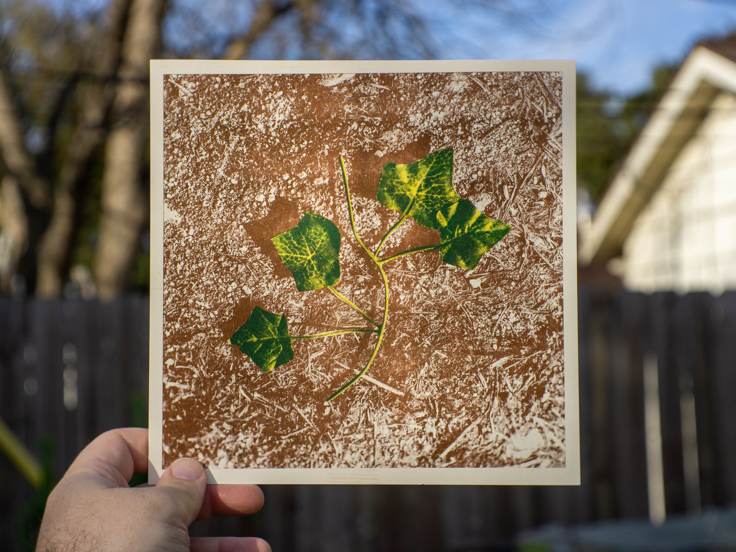 Plastic Leaf