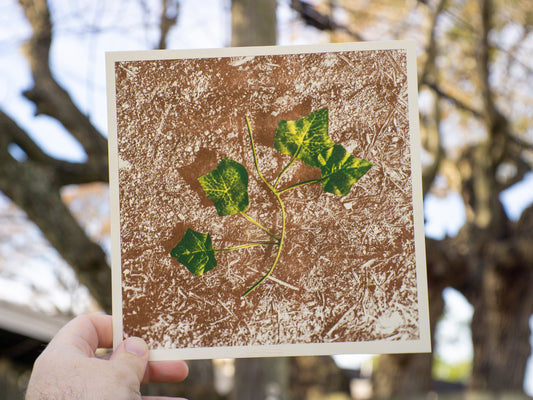 Plastic Leaf