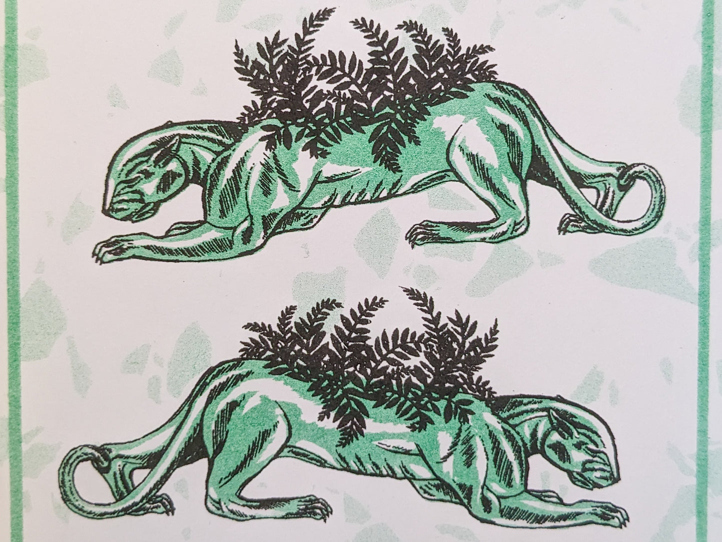 Jaguar Note Card Set