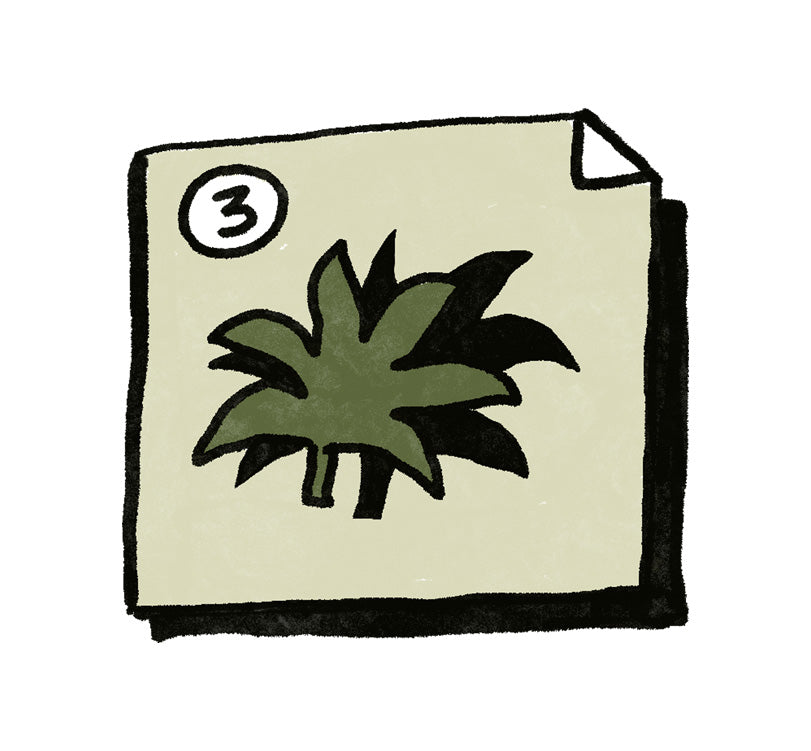 Paper icon with a palm leaf illustration and number 3 on a beige background