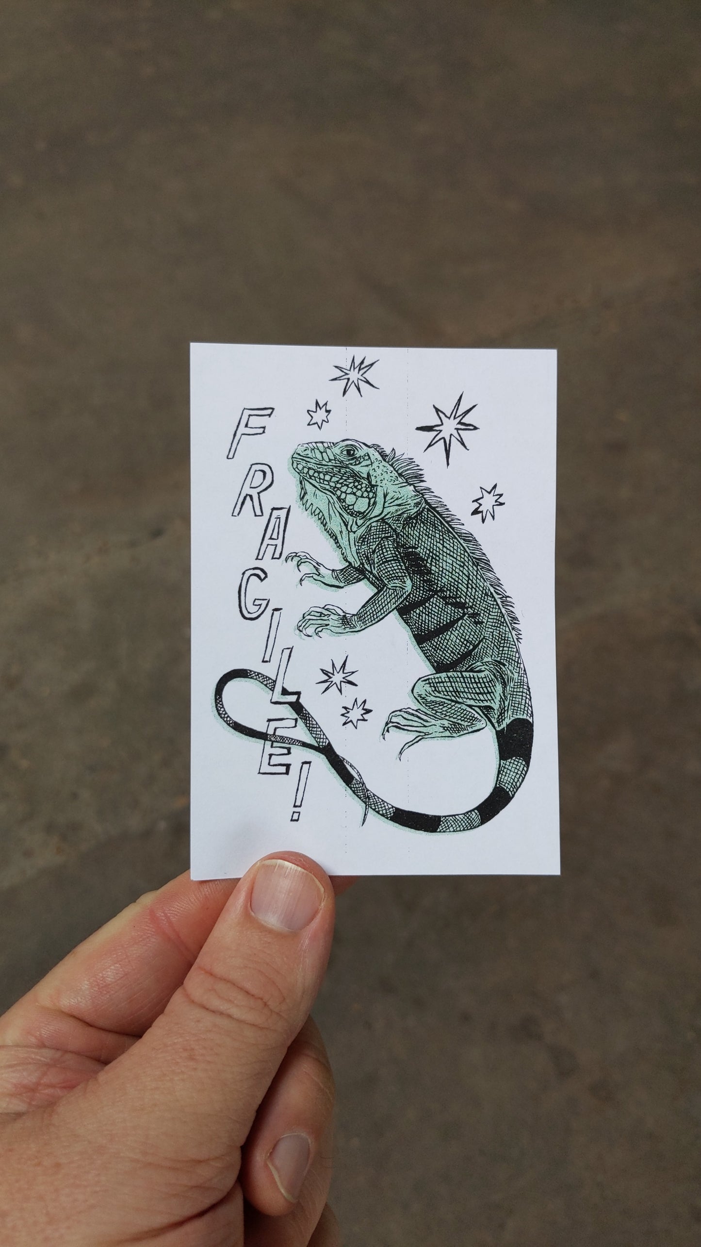 Fragile Iguana Label