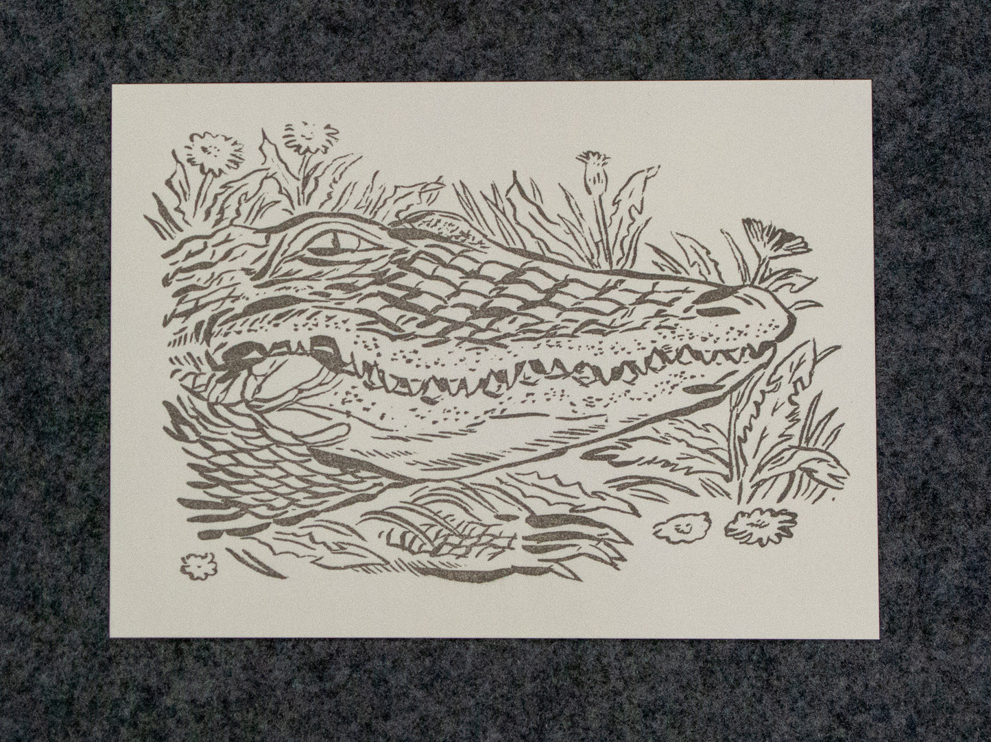 Sneaky Gator