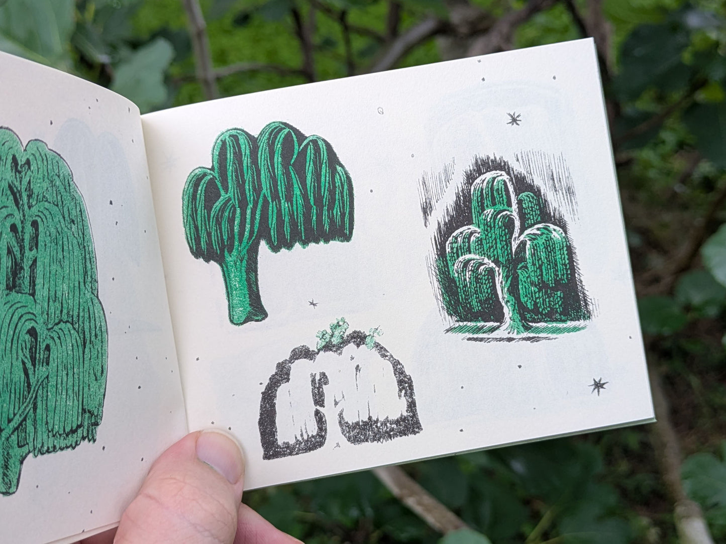 Page detail with three distinct willow trees