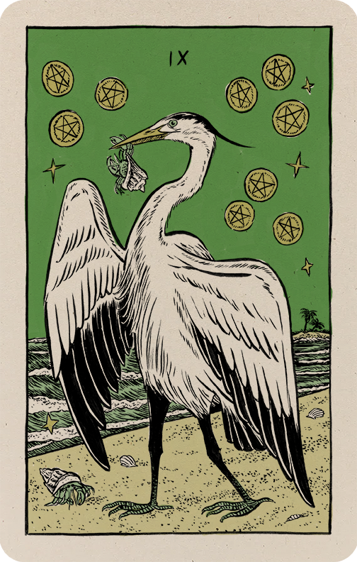 Illustration of a great heron with a tasty hermit crab on a shoreline
