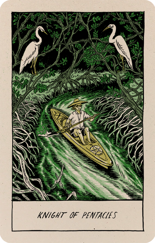 An illustration of a paddler traveling through a mangrove forest with two flanking egrets.