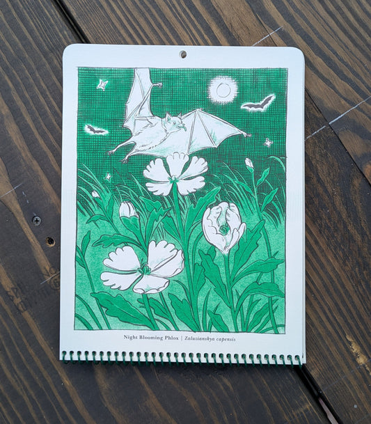 A goofy lil bat flying above some night phlox in a green and white illustration