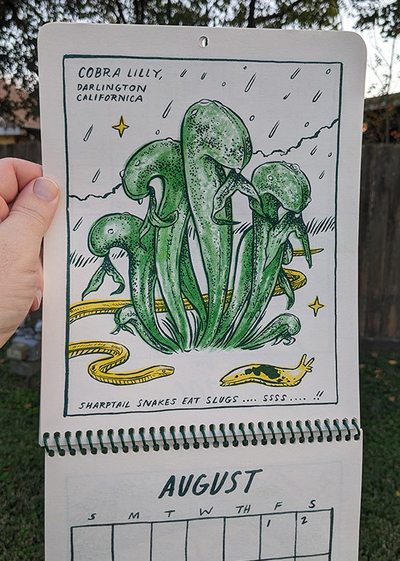 Bog Beauties 2025 Calendar