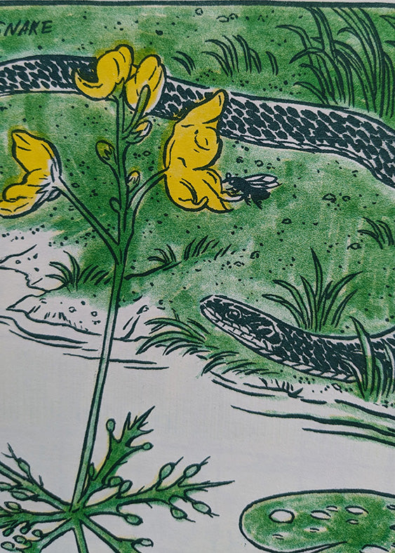 Bog Beauties 2025 Calendar