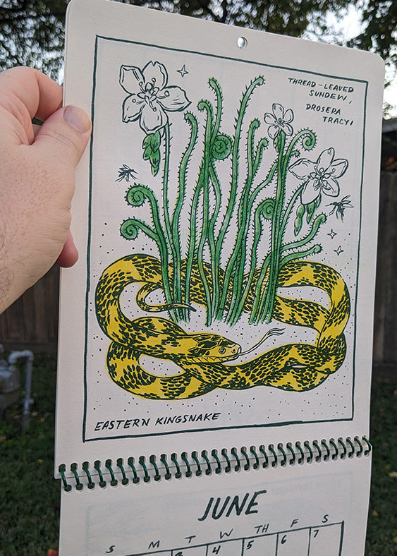 Bog Beauties 2025 Calendar