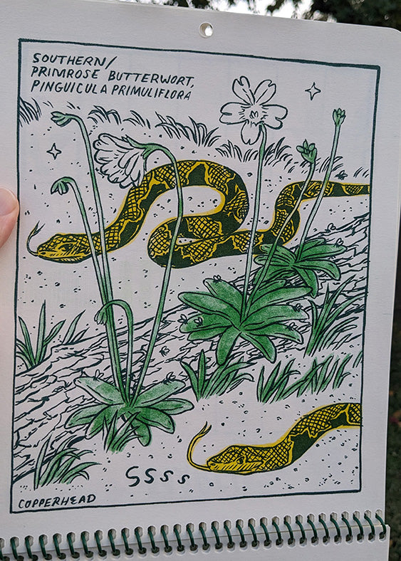 Bog Beauties 2025 Calendar