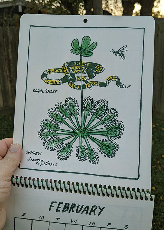 Bog Beauties 2025 Calendar