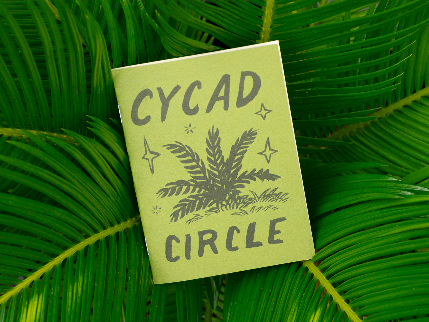 Cycad Circle