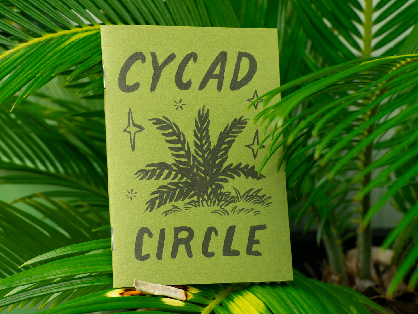 Cycad Circle