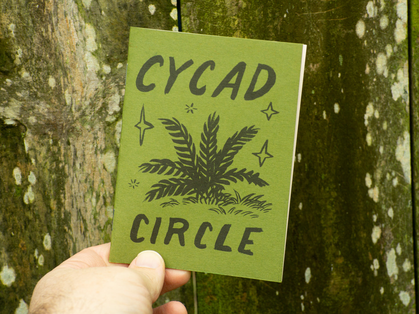 Cycad Circle