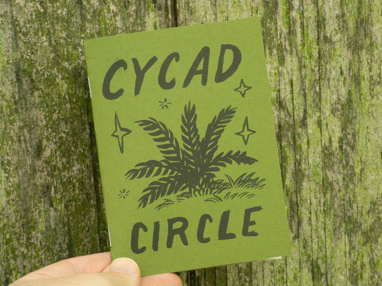 Cycad Circle