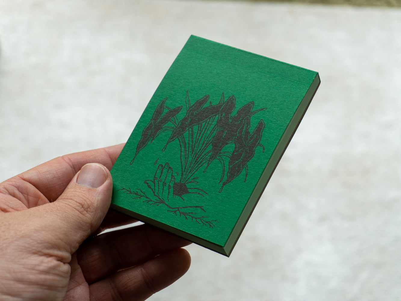 Hand holding green notebook.