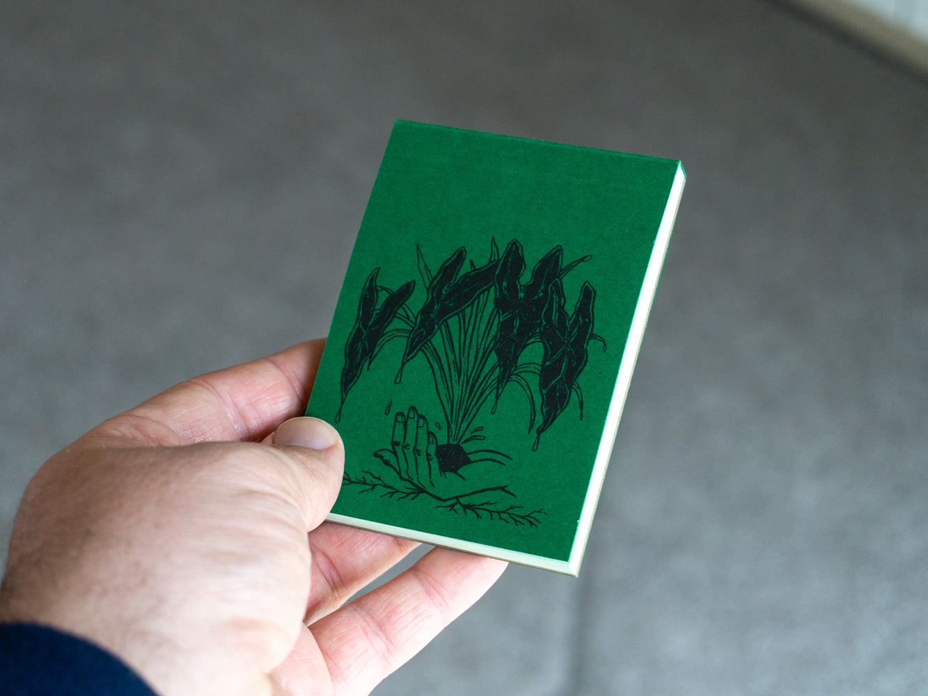 Hand holding green notebook.