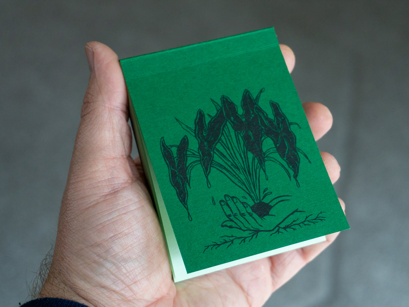Hand holding green notepad.