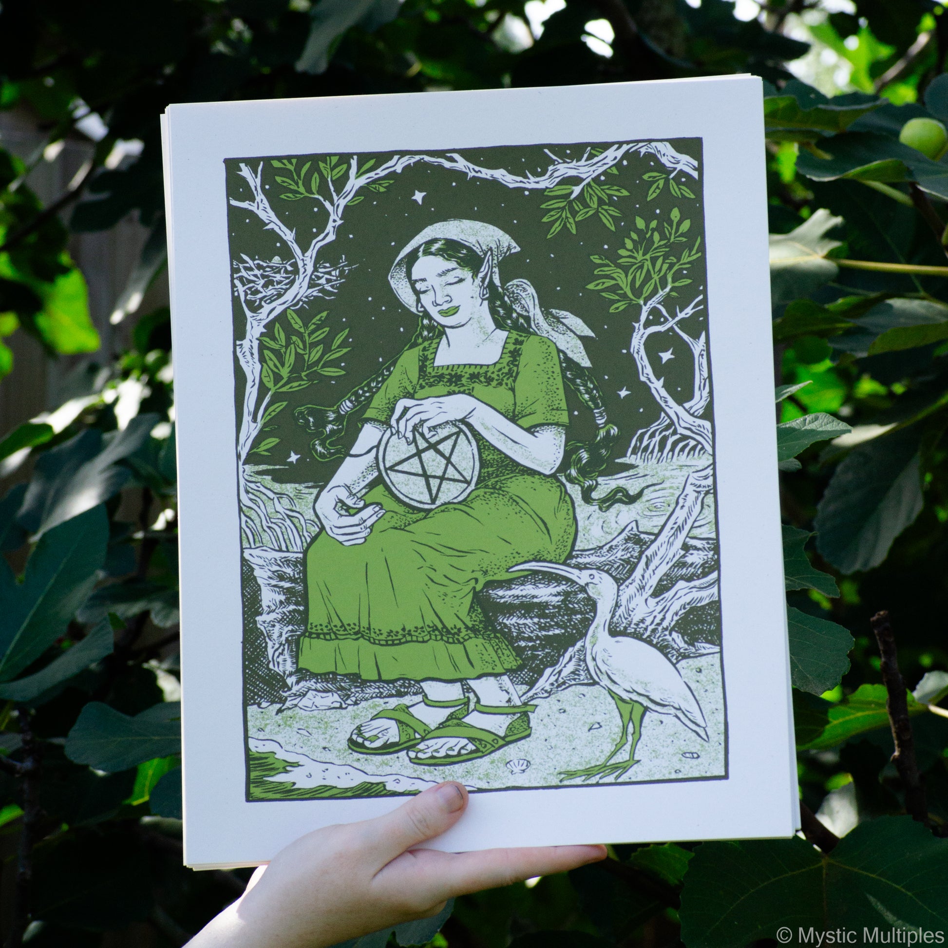 The queen of pentacles, sitting in a forest with her companion Ibis
