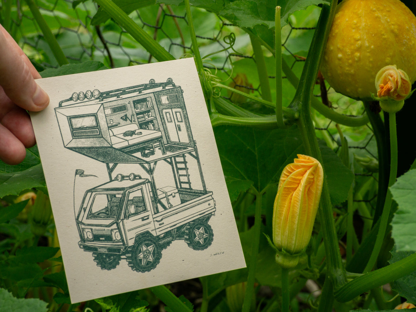 Small 4 x 5 kei truck art print next to squash blossom.