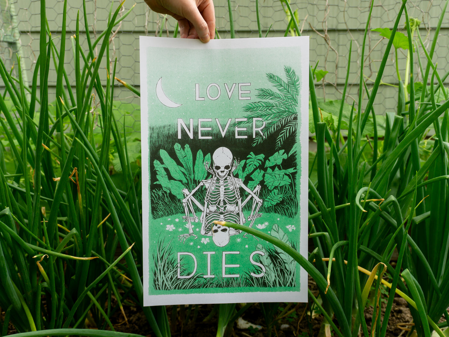 A hand holds a 10 inches x 16 inches; riso art print in a patch of green onions. The print has two skeletons in love doing it in a field of green.