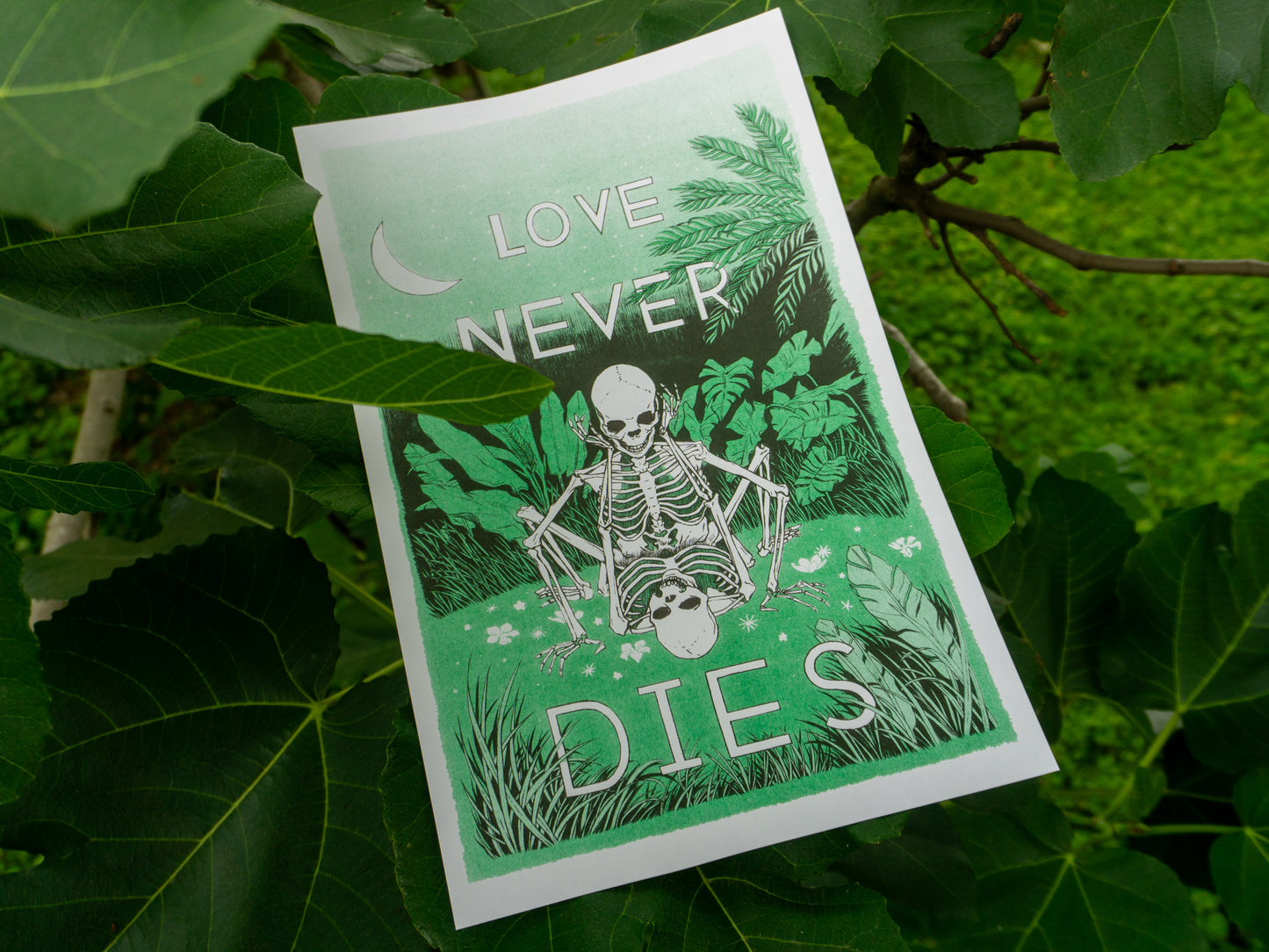 Close up image of a risograph print with two skeletons in love doing it in a field of green. The print is nestled in the branches of a fig tree.