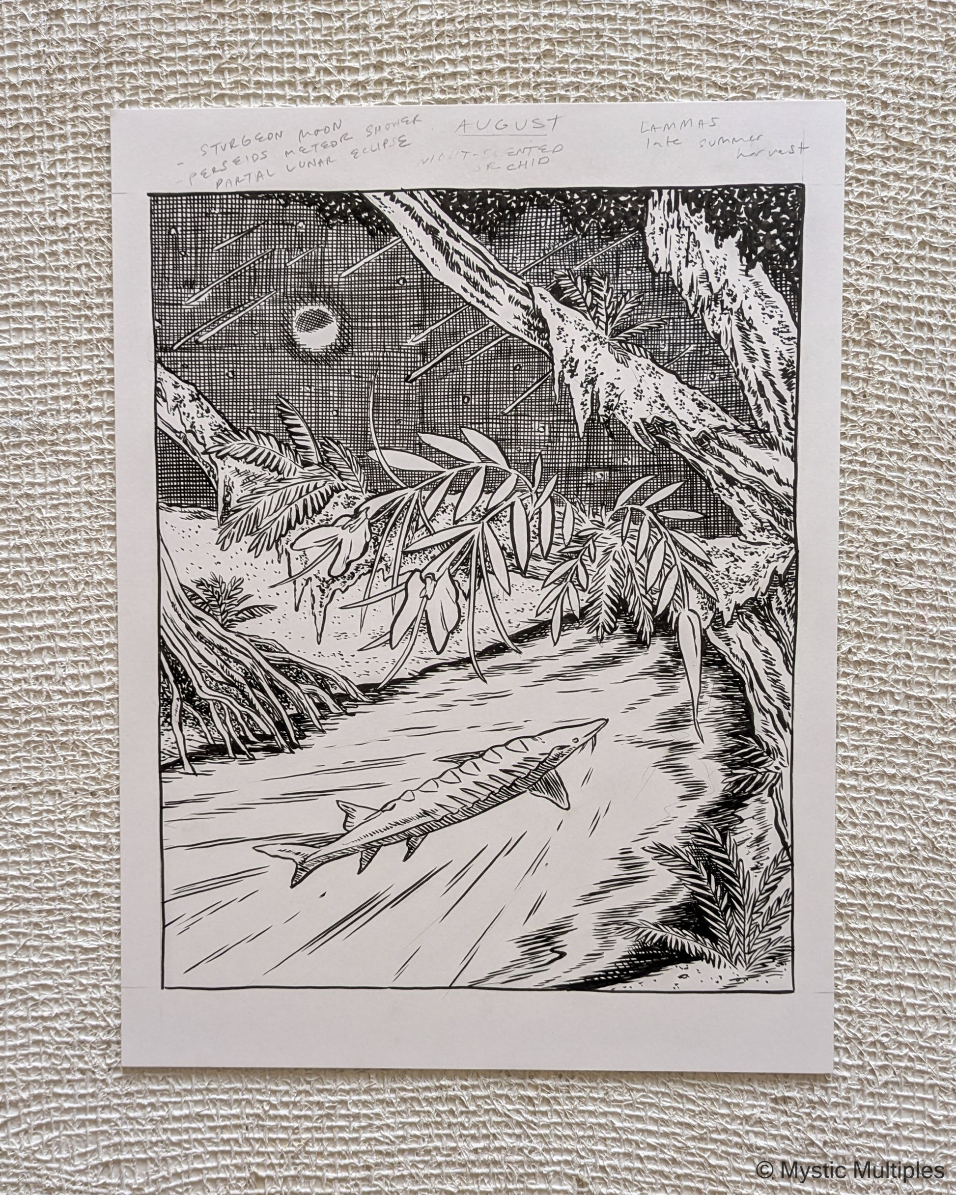 Sturgeon moon illustration with a sturgeon swimming down a river with a meteor shower and resurrection ferns