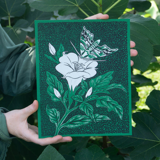Night Garden