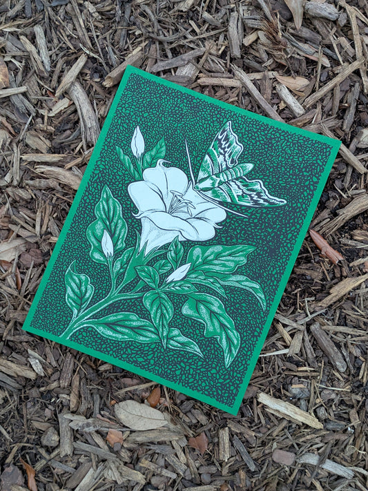 Night Garden