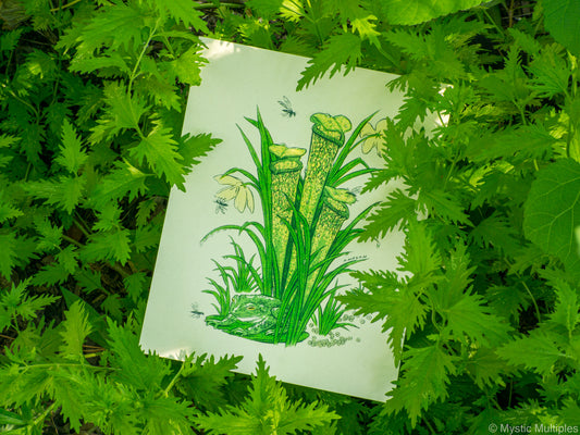 8x10 inch art print surrounded by leaves, with illustration of a frog and a pitcher plant