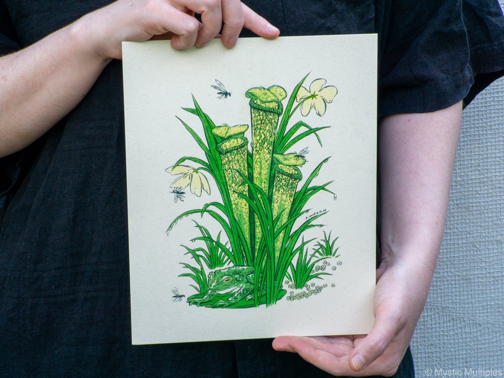 8x10 inch art print held in hands, with illustration of a frog and a pitcher plant