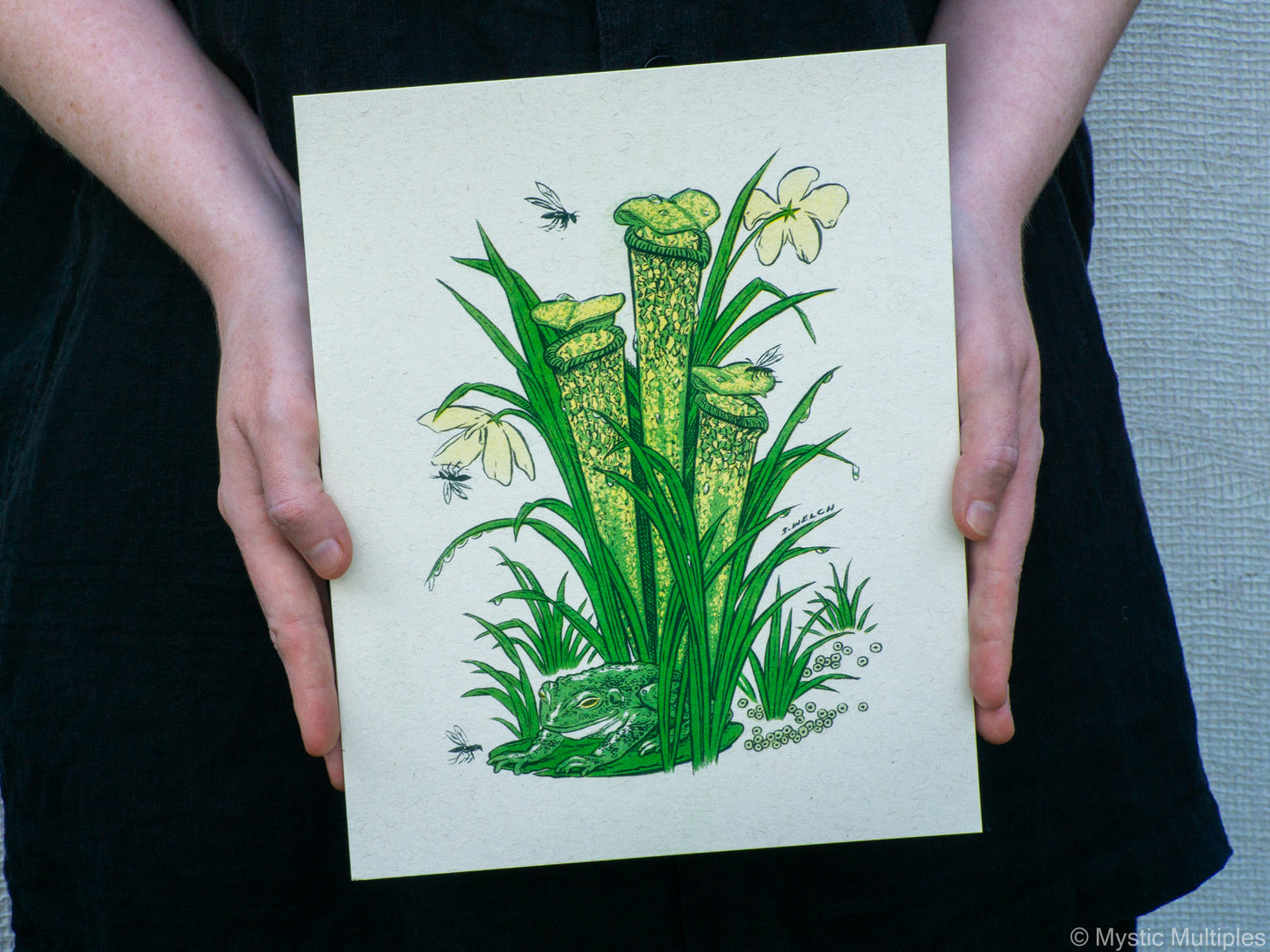 8x10 inch art print held with two hands, with illustration of a frog and a pitcher plant