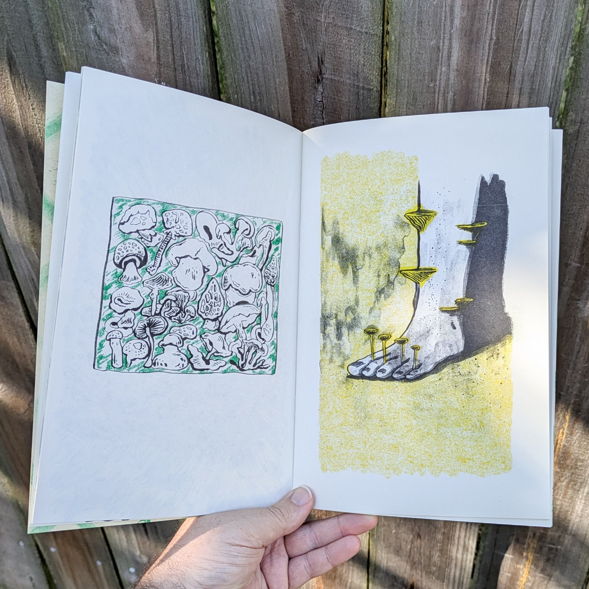 Mushroom themed zine spread with a drawing of a foot sprouting fungi
