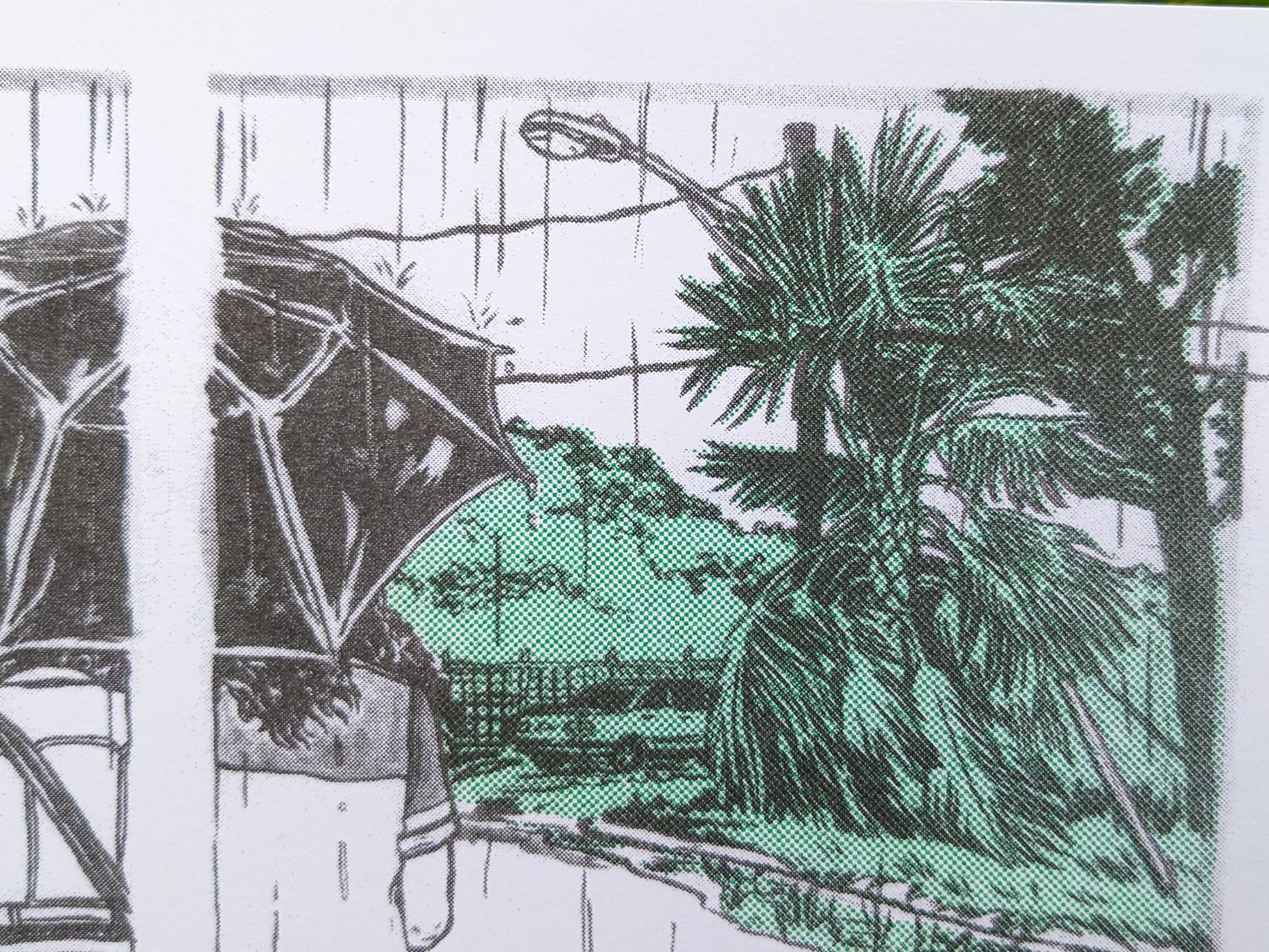 Closeup of risograph print 'Umbrella Share' showing a palm tree and street light.