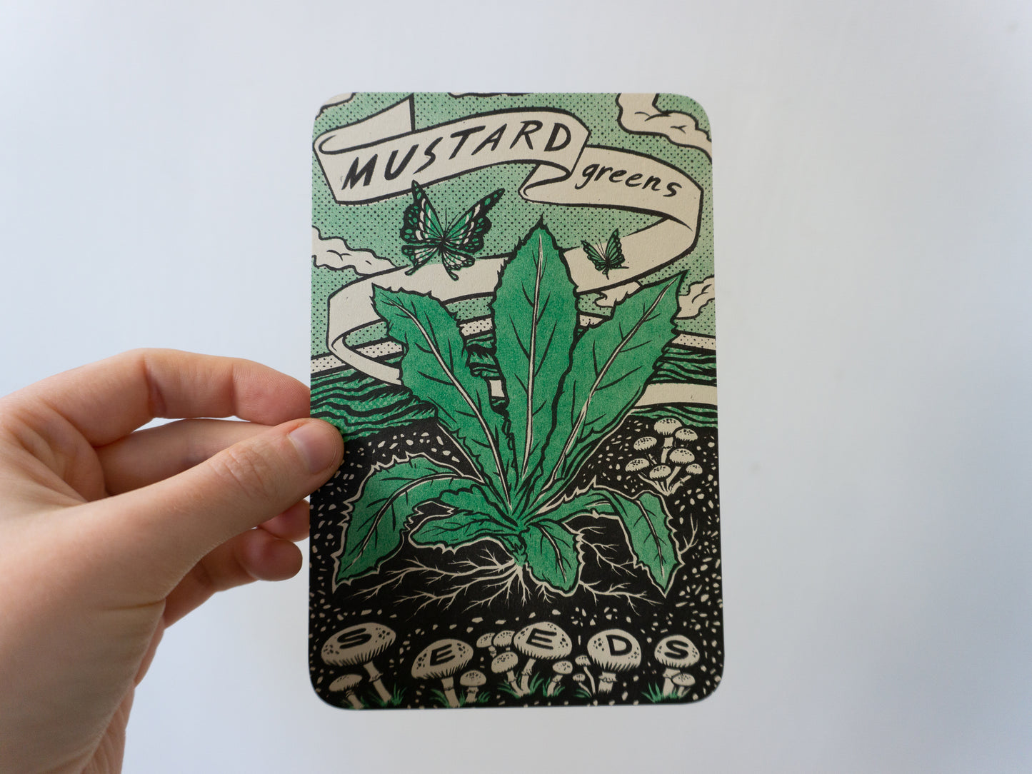 Veggie Seeds Set