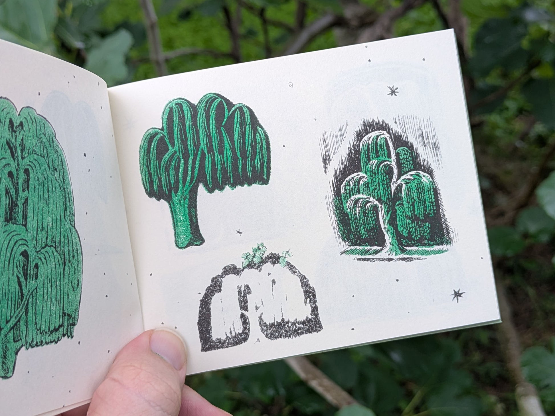 Page detail with three distinct willow trees